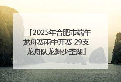2025年合肥市端午龙舟赛雨中开赛 29支龙舟队龙舞少荃湖