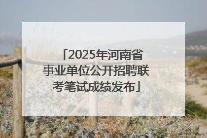 2025年河南省事业单位公开招聘联考笔试成绩发布