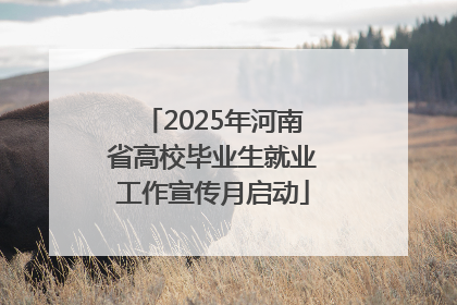 2025年河南省高校毕业生就业工作宣传月启动