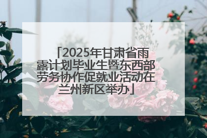 2025年甘肃省雨露计划毕业生暨东西部劳务协作促就业活动在兰州新区举办