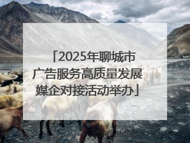 2025年聊城市广告服务高质量发展媒企对接活动举办
