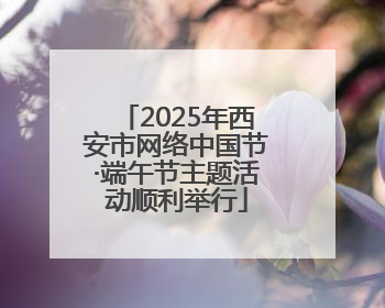 2025年西安市网络中国节·端午节主题活动顺利举行