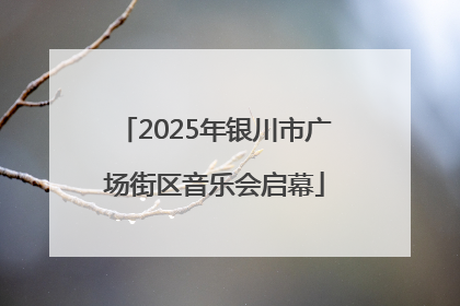 2025年银川市广场街区音乐会启幕