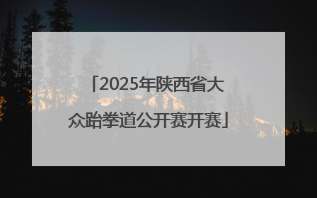2025年陕西省大众跆拳道公开赛开赛