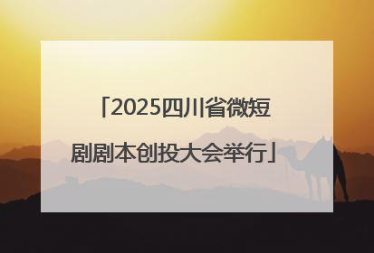 2025四川省微短剧剧本创投大会举行