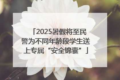 2025暑假将至民警为不同年龄段学生送上专属“安全锦囊”