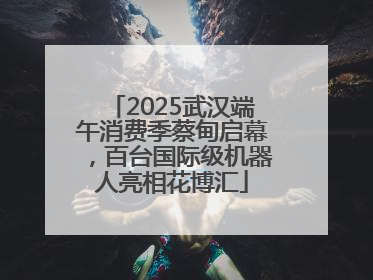 2025武汉端午消费季蔡甸启幕，百台国际级机器人亮相花博汇