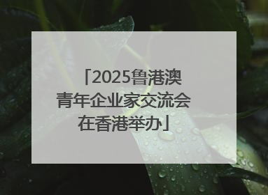 2025鲁港澳青年企业家交流会在香港举办