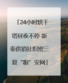 24小时烘干塔昼夜不停 新泰供销社织密三夏“粮”安网
