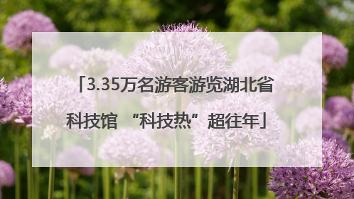 3.35万名游客游览湖北省科技馆 “科技热”超往年