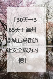 30天→365天！温州鹿城五马街道让安全成为习惯