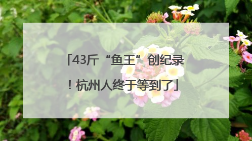 43斤“鱼王”创纪录！杭州人终于等到了