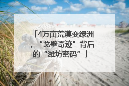 4万亩荒漠变绿洲，“戈壁奇迹”背后的“潍坊密码”