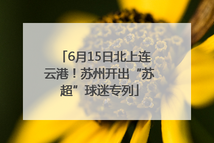 6月15日北上连云港！苏州开出“苏超”球迷专列