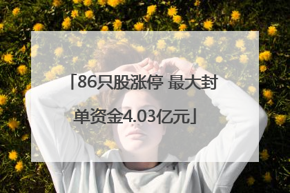 86只股涨停 最大封单资金4.03亿元
