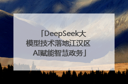 DeepSeek大模型技术落地江汉区 AI赋能智慧政务