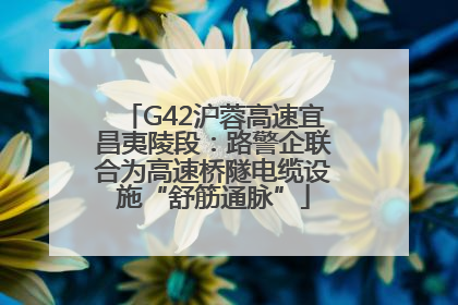 G42沪蓉高速宜昌夷陵段：路警企联合为高速桥隧电缆设施“舒筋通脉”
