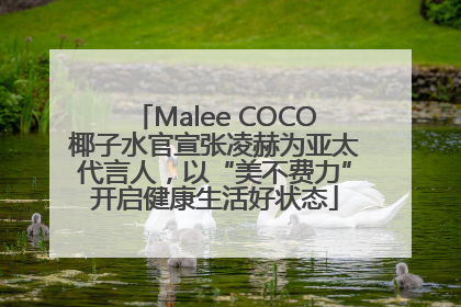 Malee COCO椰子水官宣张凌赫为亚太代言人，以“美不费力”开启健康生活好状态