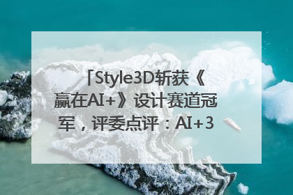 Style3D斩获《赢在AI+》设计赛道冠军，评委点评：AI+3D技术世界第一